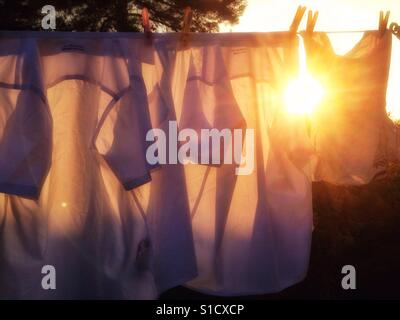Evening sun shines between two shirts hanging on a washing line in a back garden/ Stock Photo
