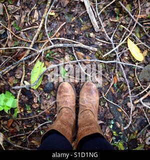 Looking down onto the street after a strong storm that brought down leaves and twigs. Stock Photo