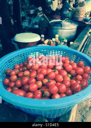Basket full of cherry tomatoes in Hmong Hill Tribe Village, Chiang Mai, Thailand. Stock Photo