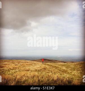 A walker wearing a red jacket on Foel Cwmcerwyn the highest peak in the Preseli mountains, Pembrokeshire, Wales Stock Photo