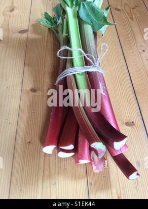 Bundle of fresh rhubarbs on wooden kitchen table Stock Photo