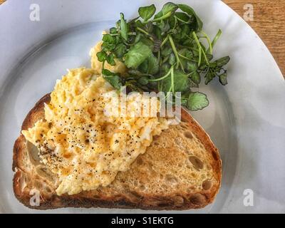 Scrambled eggs on toast with pea shoots on the side Stock Photo