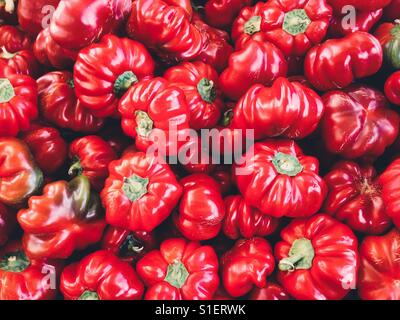 Farm fresh pimento peppers