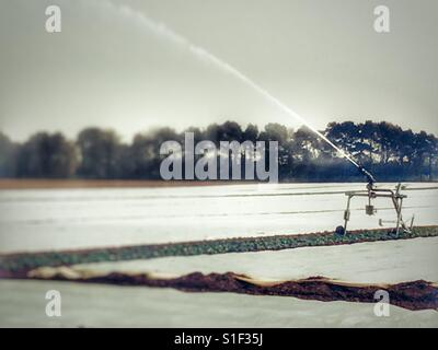 Irrigation system Stock Photo