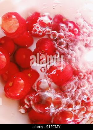 cherries in water Stock Photo - Alamy