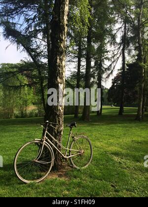 Old rusty bicycle leaning against a tree in a beautiful green park in spring Stock Photo