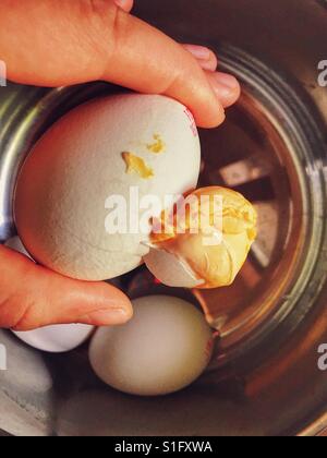 Hand holding a broken boiled egg Stock Photo