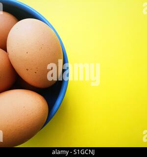 An overhead view of organic brown eggs in a blue bowl on a yellow background Stock Photo