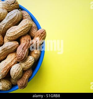 A close-up overhead view of unsalted peanuts in their shells in a blue bowl on a yellow background Stock Photo