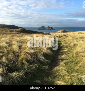 Hollywell bay, Cornwall Stock Photo