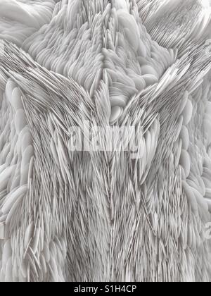 Wings of Desire Stock Photo