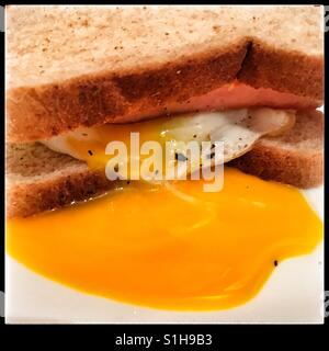 Spam, egg and cheese sandwich Stock Photo
