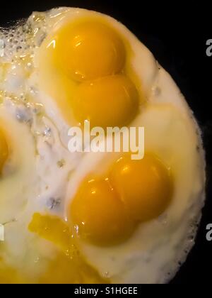 Two eggs double yolk Stock Photo