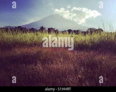 On side of Agua volcano at sunset in San Juan del Obispo, Antigua, Guatemala Stock Photo