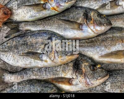 Recently caught Sea Bream for sale in a market. Fresh Fish! Try adding chips?! Photo Credit - © COLIN HOSKINS. Stock Photo