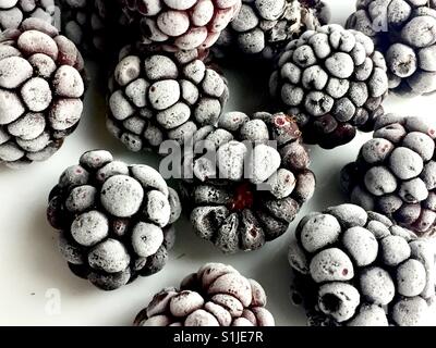 Frozen blackberries Stock Photo