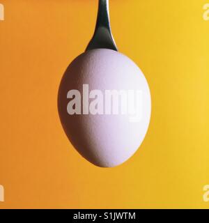 A single egg in a spoon against a yellow background Stock Photo