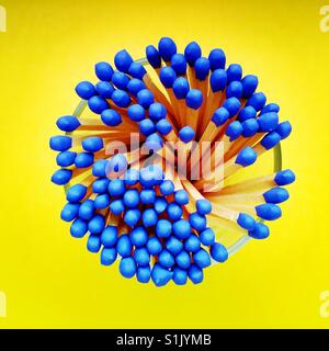 An overhead shot of a bunch of blue-tipped matchsticks in a glass container Stock Photo