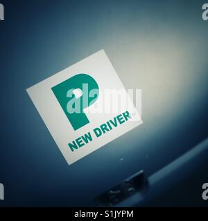New Driver P for Probationary sign on a car bonnet UK Stock Photo