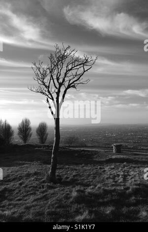 Werneth Low Hyde Tameside Stock Photo