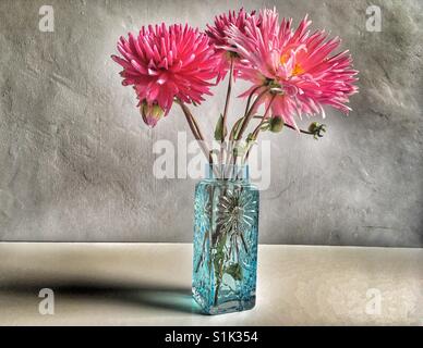 Dahlias in glass vase Stock Photo