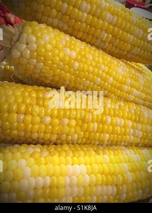 Close-up of freshly cooked corn on the cob, USA Stock Photo