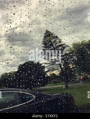 Trees and car reflected on rain covered tinted window Stock Photo