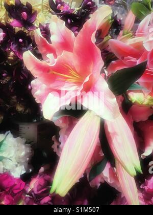 A silk artificial Casablanca lily appears Real in the flower district shop, NYC, USA Stock Photo