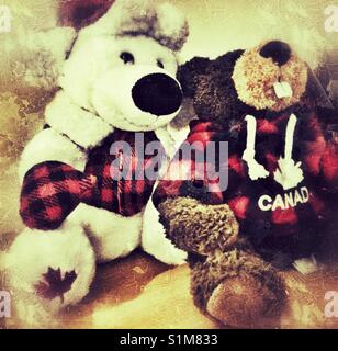 Stuffed toy polar bear and beaver. Stock Photo