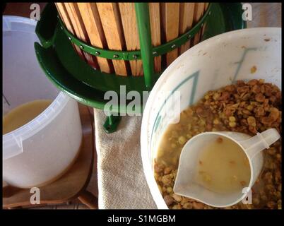 Making "orange wine" from white Macabeo grapes, Catalonia, Spain. Stock Photo