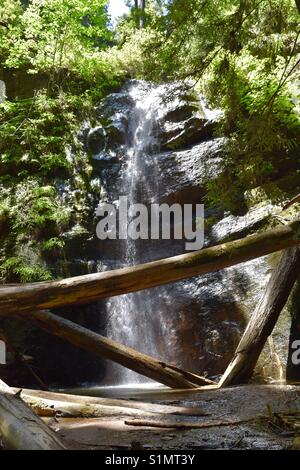 Waterfall at Big Basin Redwoods State Park Stock Photo