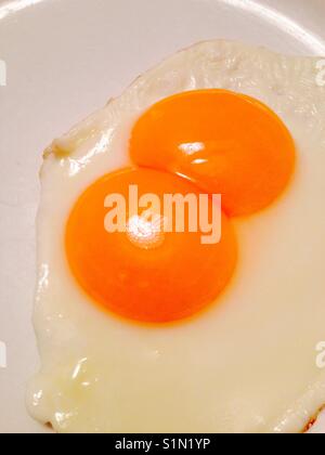 Double yolked fried egg. Sunny side up and on a plate and ready to serve. Stock Photo