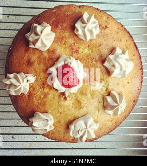 Overhead view of a sponge cake. Stock Photo