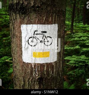 Cycling path sign in a forest painted on a tree Stock Photo