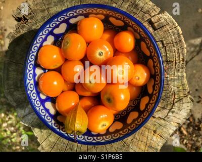 High angle view of a bowl of fresh cape gooseberries, Physalis peruviana. Stock Photo