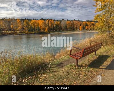 Bench by the riverside path in Baker park, looking across the Bow river to the autumnal trees in Bowness park, in Calgary, Alberta, Canada. Stock Photo