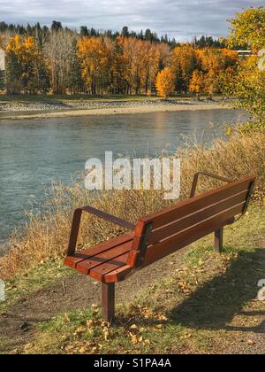 Bench by the riverside path in Baker park, looking across the Bow river to the autumnal trees in Bowness park, Calgary, Alberta, Canada. Stock Photo