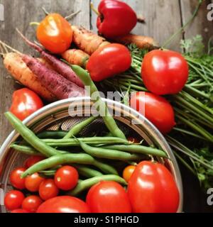 Summer garden vegetables. Stock Photo