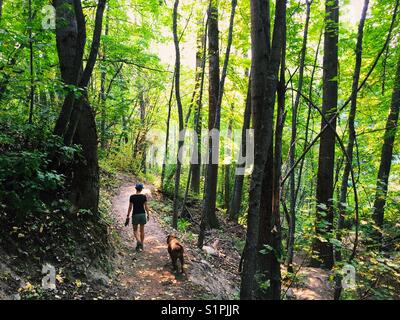 A woman walks her dog along a path amongst the beautiful green trees