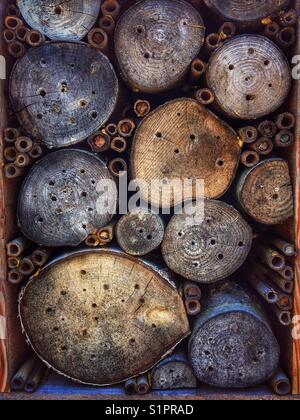 Insect hotel made from logs and canes to encourage winter hibernating insects. Stock Photo