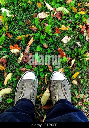 Birdseye view of person standing on grassy ground covered in colourful autumn leaves Stock Photo