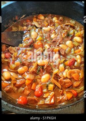 Slow cooked beef and butter beans in dark beer. Stock Photo