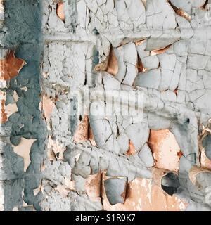 Peeling and cracking paint on the wall of an abandoned school in Chernobyl, Ukraine Stock Photo