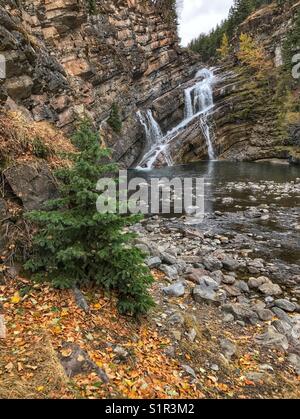 Cameron Falls on an autumnal day, with golden leaves on the ground. Waterton Lakes national park, Alberta, Canada. Stock Photo