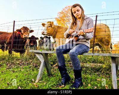 Girl playing ukulele while cows watch and listen Stock Photo