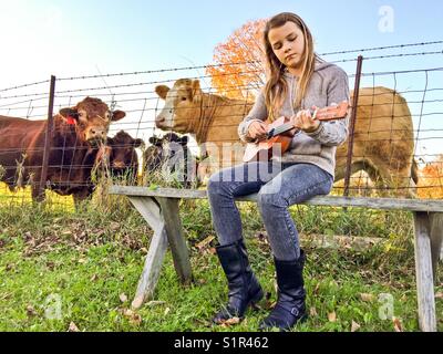 Girl playing ukulele while cows look and listen Stock Photo