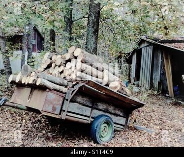 Trailer load of chopped wood for winter heat Stock Photo