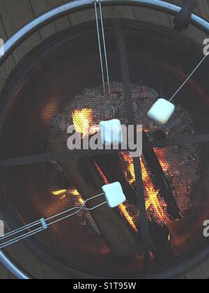 Marshmallows roasted over fire pit Stock Photo