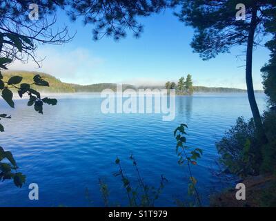 Island View From Forest Lakeshore on Sunny Day Stock Photo