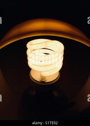 Compact fluorescent lamp (CFL), 20 Watt spiral bulb switched on Stock Photo